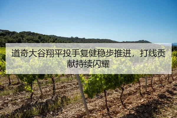 道奇大谷翔平投手复健稳步推进，打线贡献持续闪耀